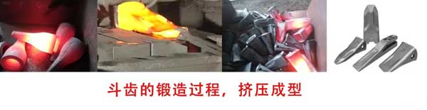 斗齿红冲模锻